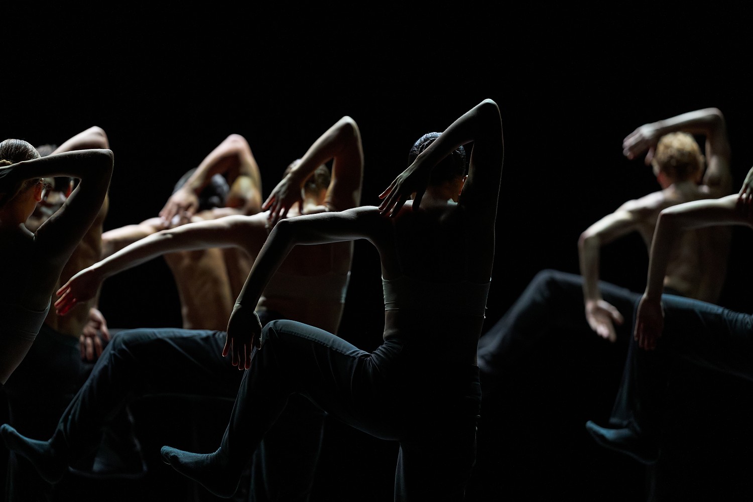 08.22.24_mind_the_gap_blushing_67.jpg 08.22.24_mind_the_gap_blushing_67.jpg