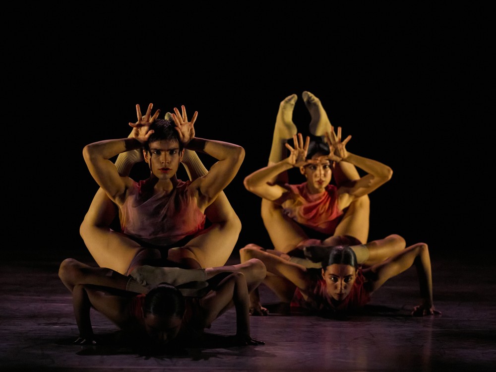 08.22.24_mind_the_gap_divine_creatures_28.jpg