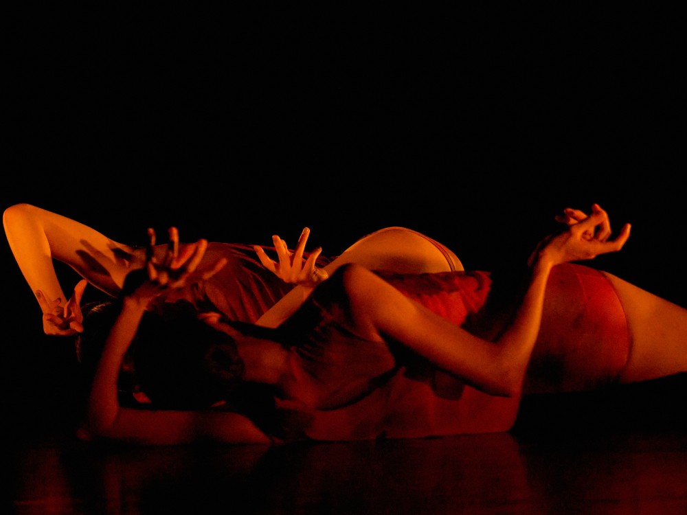 08.22.24_mind_the_gap_divine_creatures_4.jpg