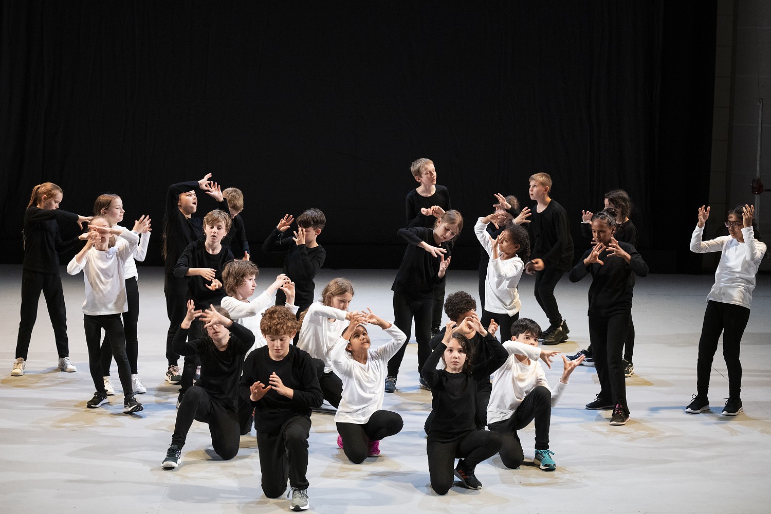 gibmirdiehand_asy2995.jpg gibmirdiehand_asy2995.jpg